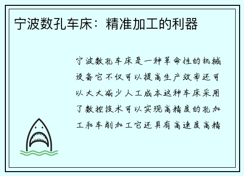 宁波数孔车床：精准加工的利器