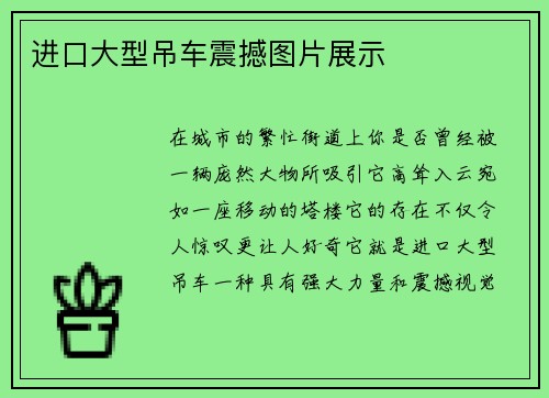 进口大型吊车震撼图片展示